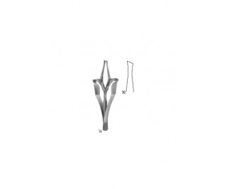 Splinter and Tissue Forceps